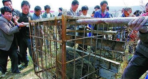 深度解讀，最新滾籠動態與時代影響力探索