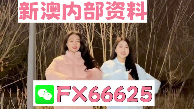 管家婆精準一碼一肖，踐行社會責任之AEJ61.482賽博版