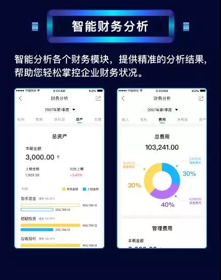 2024管家婆一碼中一肖，數據分析實戰與AID64.816輕奢版體驗