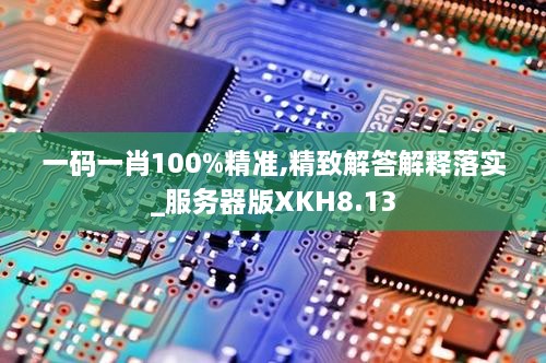一碼一肖100%精準,精致解答解釋落實_服務器版XKH8.13
