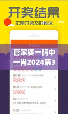管家婆一碼中一肖2024第330期,平臺建設落實分析_NLW6.24