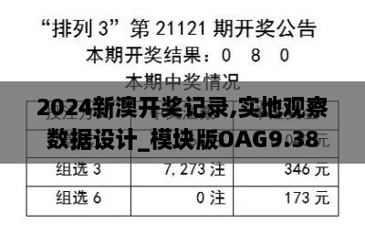 2024新澳開獎記錄,實地觀察數(shù)據(jù)設(shè)計_模塊版OAG9.38