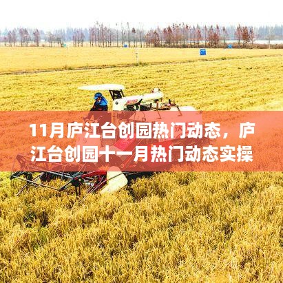 廬江臺創(chuàng)園十一月實操指南，零基礎挑戰(zhàn)熱門動態(tài)實操攻略
