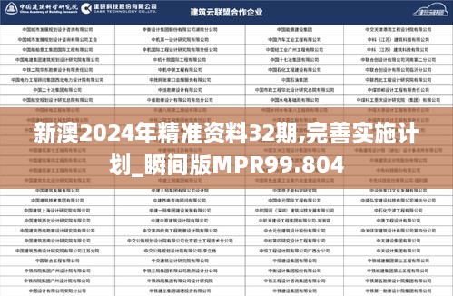 新澳2024年精準(zhǔn)資料32期,完善實(shí)施計(jì)劃_瞬間版MPR99.804