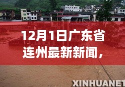 探秘連州小巷深處的獨特風味，一家隱藏版特色小店的新鮮故事——連州最新新聞報道（12月1日）