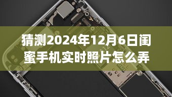 探秘手機攝影，與閨蜜共赴一場自然之美的攝影之旅（2024年12月6日）