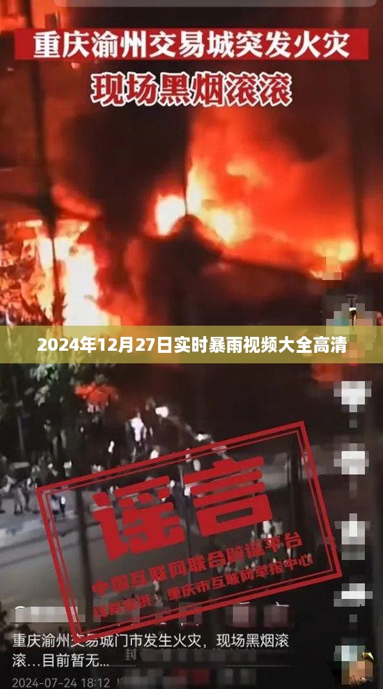 2024年暴雨實錄，高清視頻全景展示