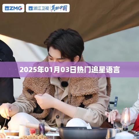 追星熱門語言盤點，2025年1月3日最新流行語