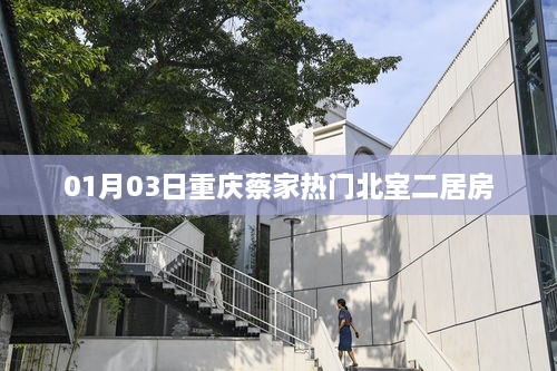 重慶蔡家熱門北室二居室房源，最新房源信息