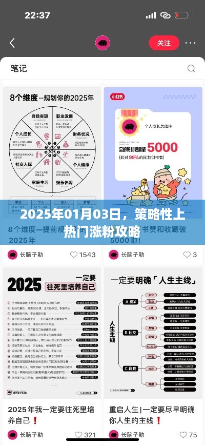 策略性漲粉秘籍，揭秘熱門攻略，輕松實現粉絲增長！