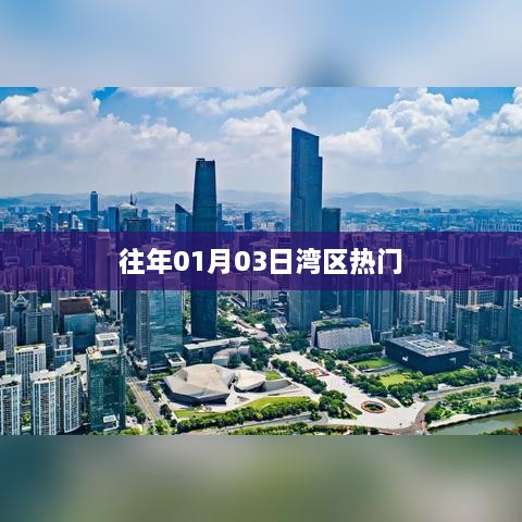 灣區元旦熱門活動回顧