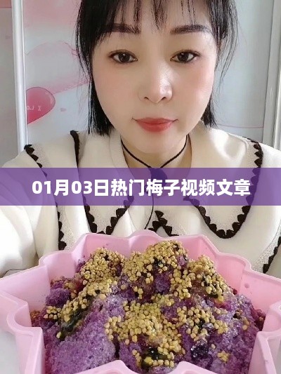 梅子視頻文章熱點速遞，01月03日熱議焦點