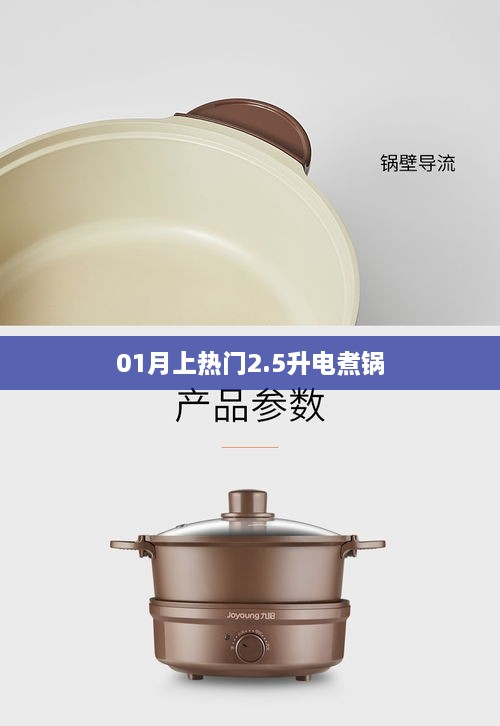 電煮鍋新寵，熱門上榜，實用小巧多功能電煮鍋